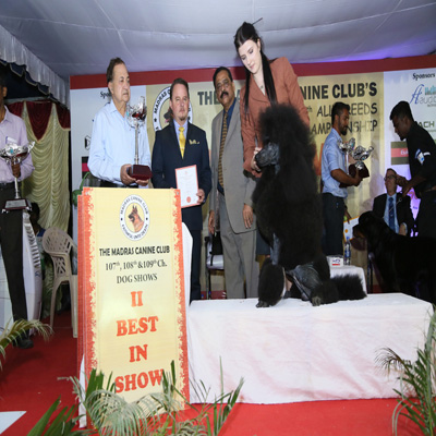 Plants: image 1 0f 4 thumb