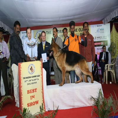 Plants: image 1 0f 4 thumb