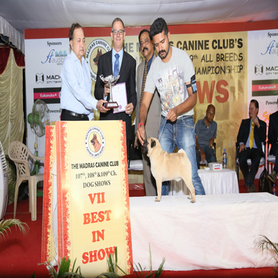 Plants: image 1 0f 4 thumb