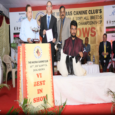 Plants: image 1 0f 4 thumb