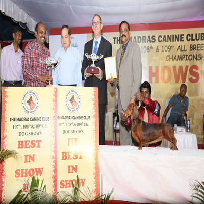 Plants: image 1 0f 4 thumb