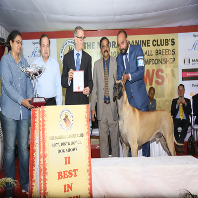 Plants: image 1 0f 4 thumb