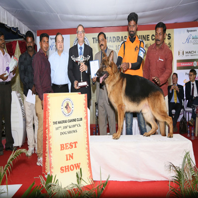 Plants: image 1 0f 4 thumb