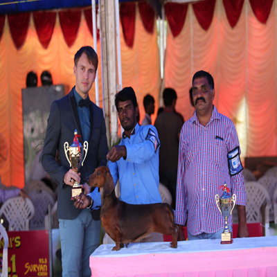 Plants: image 1 0f 4 thumb