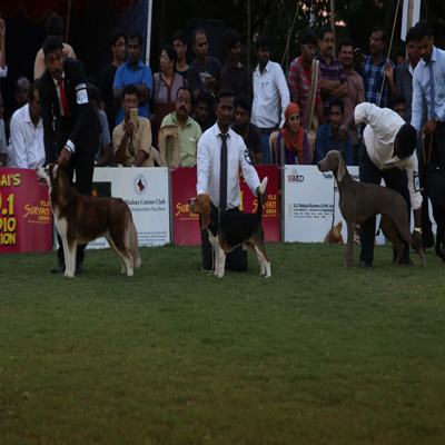 Plants: image 1 0f 4 thumb