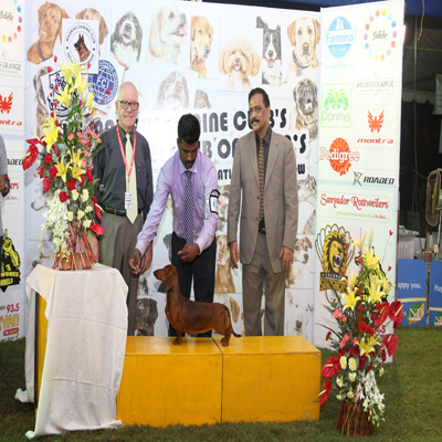 Plants: image 1 0f 4 thumb