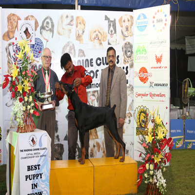 Plants: image 1 0f 4 thumb