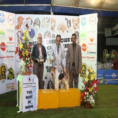 Plants: image 1 0f 4 thumb