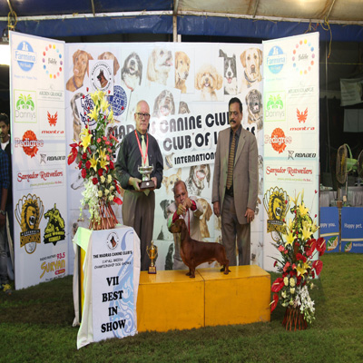 Plants: image 1 0f 4 thumb