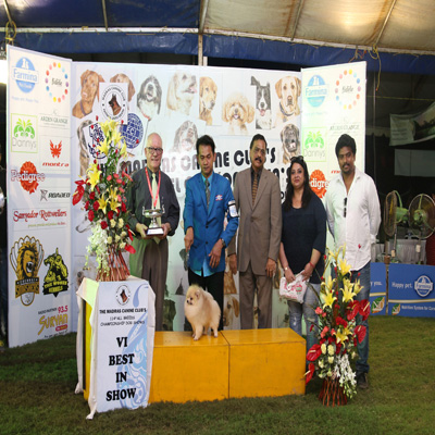 Plants: image 1 0f 4 thumb