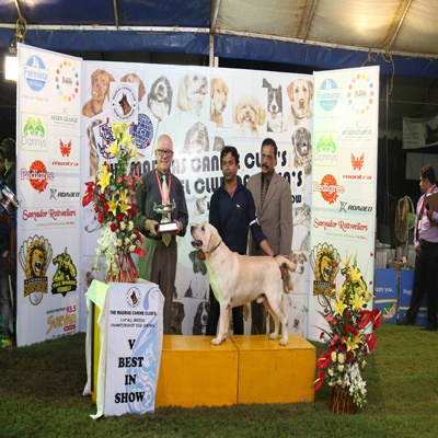 Plants: image 1 0f 4 thumb