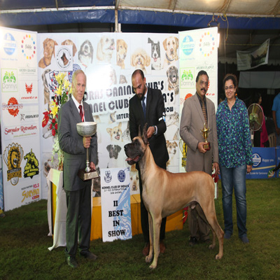 Plants: image 1 0f 4 thumb