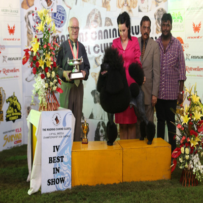 Plants: image 1 0f 4 thumb