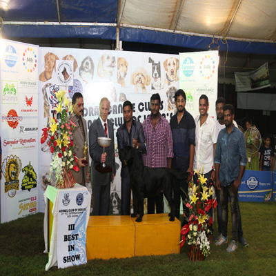 Plants: image 1 0f 4 thumb