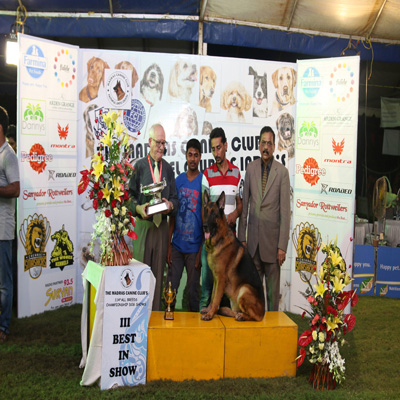 Plants: image 1 0f 4 thumb