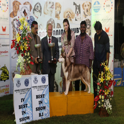 Plants: image 1 0f 4 thumb