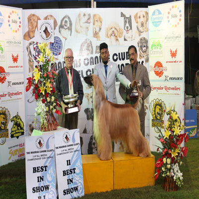 Plants: image 1 0f 4 thumb