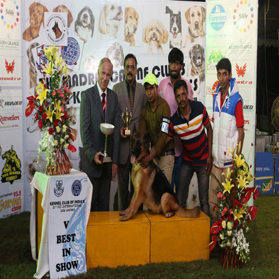 Plants: image 1 0f 4 thumb