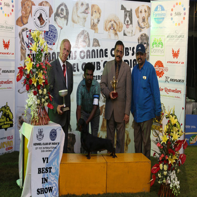 Plants: image 1 0f 4 thumb