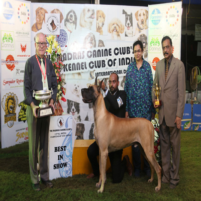 Plants: image 1 0f 4 thumb