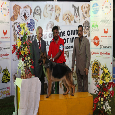 Plants: image 1 0f 4 thumb