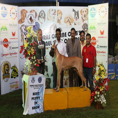 Plants: image 1 0f 4 thumb