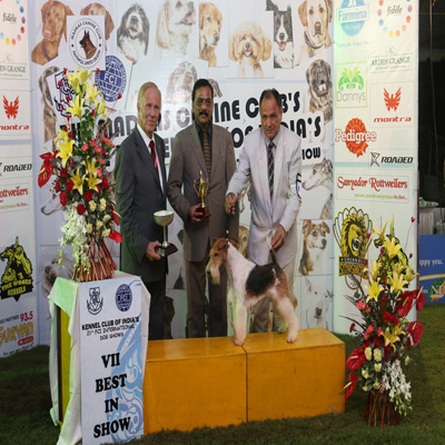 Plants: image 1 0f 4 thumb