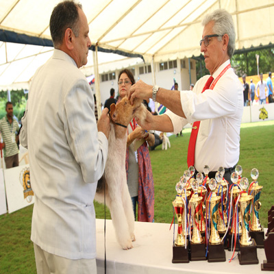 Plants: image 1 0f 4 thumb