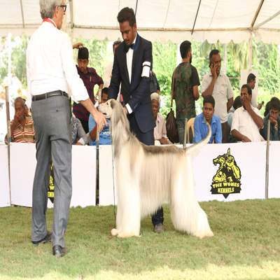 Plants: image 1 0f 4 thumb