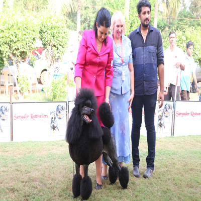 Plants: image 1 0f 4 thumb