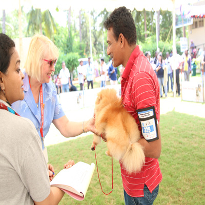 Plants: image 1 0f 4 thumb