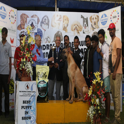 Plants: image 1 0f 4 thumb