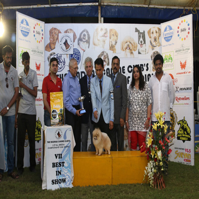 Plants: image 1 0f 4 thumb