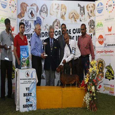 Plants: image 1 0f 4 thumb