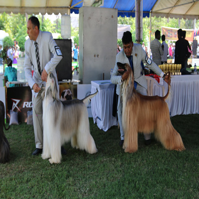 Plants: image 1 0f 4 thumb