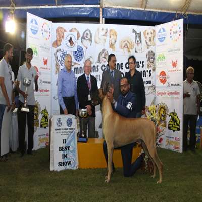 Plants: image 1 0f 4 thumb