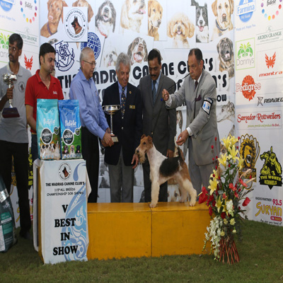 Plants: image 1 0f 4 thumb