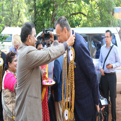 Plants: image 1 0f 4 thumb