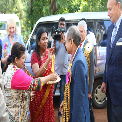 Plants: image 1 0f 4 thumb