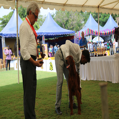 Plants: image 1 0f 4 thumb