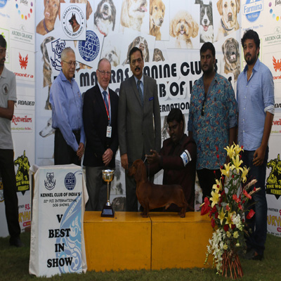 Plants: image 1 0f 4 thumb