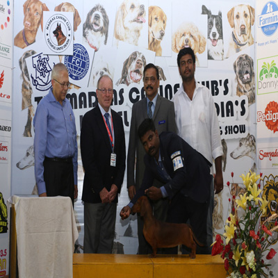 Plants: image 1 0f 4 thumb