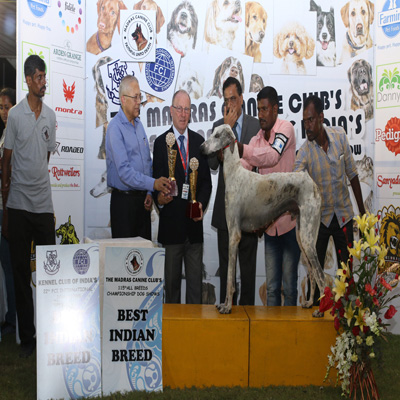 Plants: image 1 0f 4 thumb