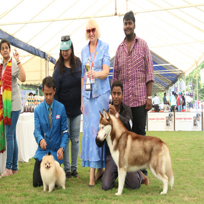 Plants: image 1 0f 4 thumb