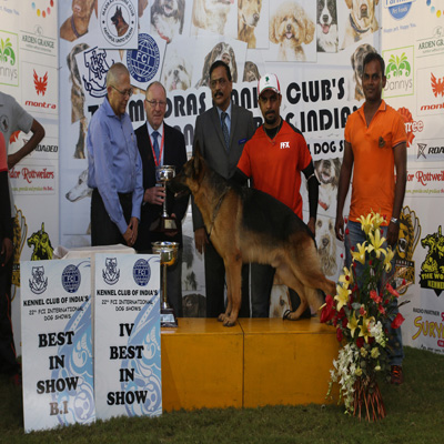 Plants: image 1 0f 4 thumb