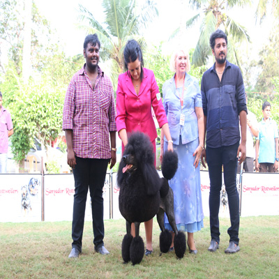 Plants: image 1 0f 4 thumb